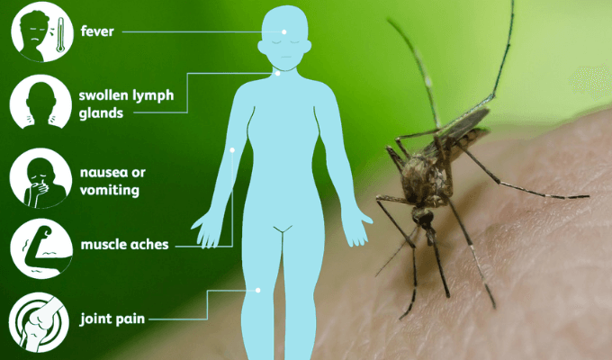 West Nile Virus Symptoms